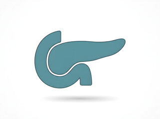 Obraz premium Pancreas anatomy vector icon. filled flat sign for mobile concept and web design. Pancreas internal organ glyph icon. Symbol, logo illustration. Vector graphics