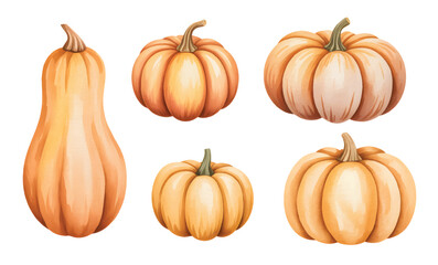 
Soft autumn pumpkin watercolor set. Natural pumpkin watercolor study. pumpkins for halloween and Fall on white background.