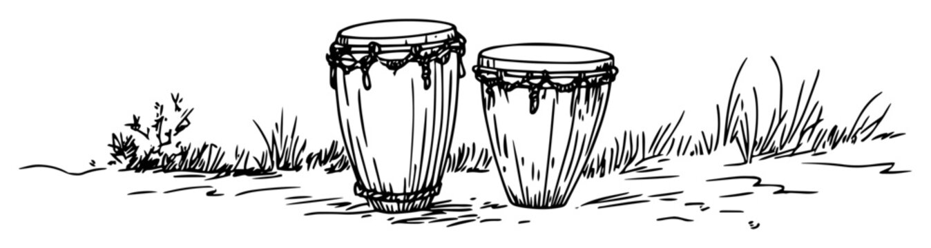 bongo drums pair hand drawn percussion sketch