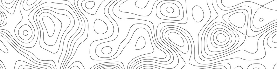 Abstract topographic contour line background, organic fluid curves forming modern geographic style pattern, minimal wavy lines for mapping, nature design, elevation concept illustration © gd-house