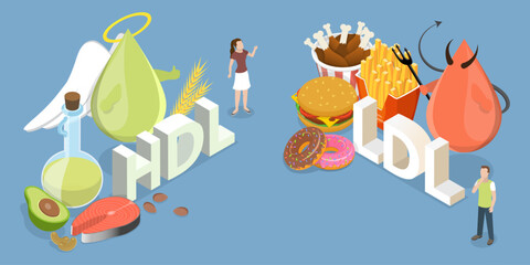 3D Isometric Flat Vector Illustration of HDL Vs LDL, Comparison Of Cholesterol Types With Examples