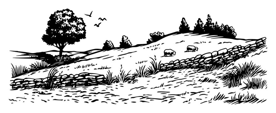 pastoral hillside with sheep monochrome vector illustration