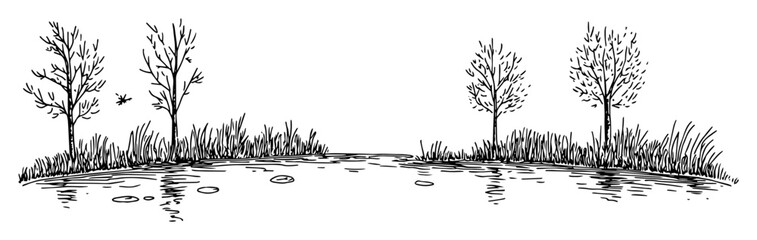 swamp landscape with bare trees reflection hand drawn sketch vector illustration © Kaz