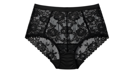 Elegant black lace high-waisted briefs with floral pattern, sophisticated lingerie detail