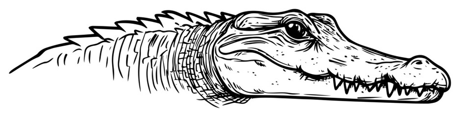 crocodile head hand drawn sketch illustration