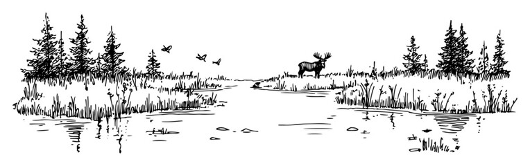 two moose in forest lake scene hand drawn sketch © Kaz