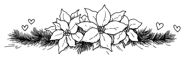 christmas floral decoration with poinsettia sketch