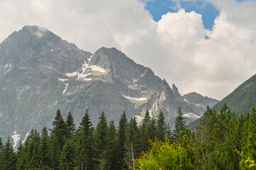 Fototapeta premium High mountain peaks rising above dense conifer forest under bright sky with dramatic clouds. Snow patches and rugged rock formations on tall mountains surrounded by green woodland in natural scenery.
