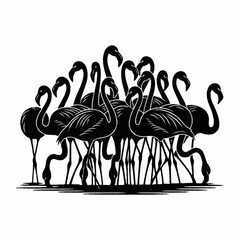 A captivating silhouette of a flock of flamingos standing together, showcasing their elegant forms and long necks.