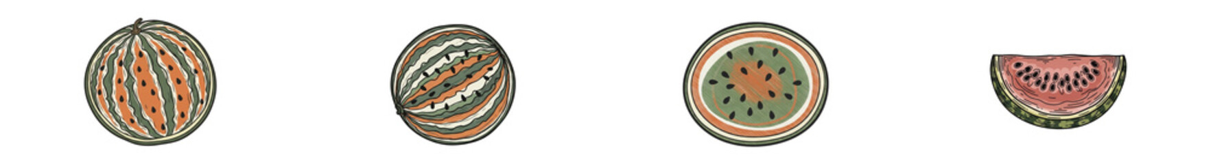 Hand drawn watermelon set with slices and whole fruit