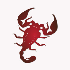 red scorpion isolated on white background