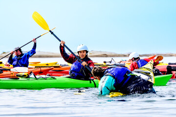Paddlers practicing an "all in" rescue scenario as part of  sea kayak guide training on Georgian Bay room for text