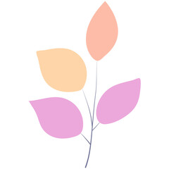 Summer flowers and brunch.