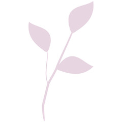 Summer flowers and brunch.