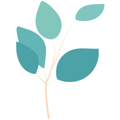 Summer flowers and brunch.