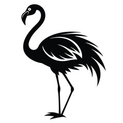 Obraz premium flamingo bird black and white silhouette on white background