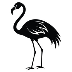Obraz premium flamingo bird black and white silhouette on white background