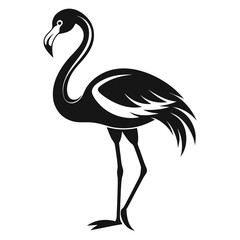 Obraz premium flamingo bird black and white silhouette on white background