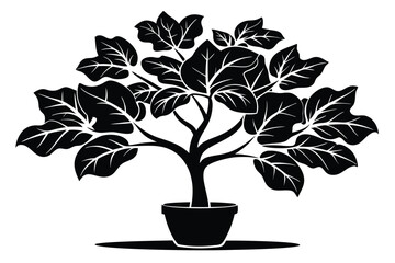 fiddle leaf fig black and white silhouette