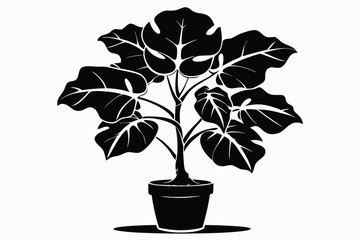 fiddle leaf fig black and white silhouette