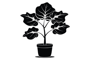 fiddle leaf fig black and white silhouette