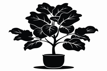 fiddle leaf fig black and white silhouette