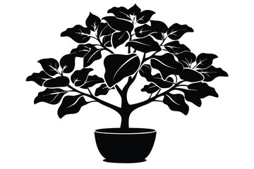 fiddle leaf fig black and white silhouette