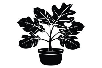 fiddle leaf fig black and white silhouette
