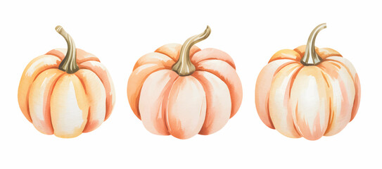 Halloween pumpkin watercolor collection. Rustic halloween pumpkin illustration.