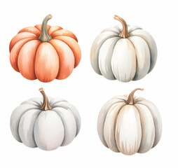 Halloween pumpkin watercolor collection. Rustic halloween pumpkin illustration.