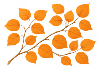 Autumnal branch displaying vibrant orange leaves, perfect for fall designs. Transparent background for easy integration