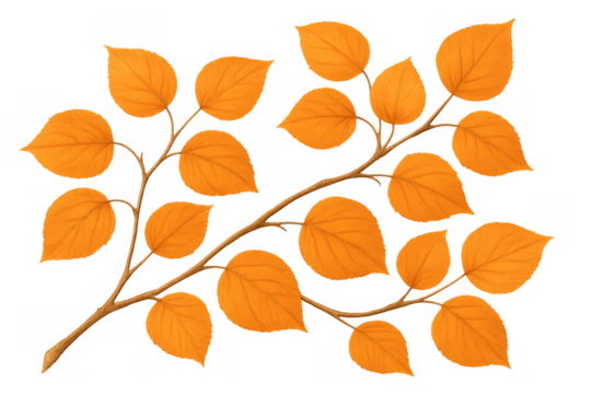 Autumnal branch displaying vibrant orange leaves, perfect for fall designs. Transparent background for easy integration - Powered by Adobe