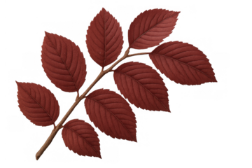 Autumn tree branch with red leaves, presenting seasonal change and natural beauty, vector element with transparent background