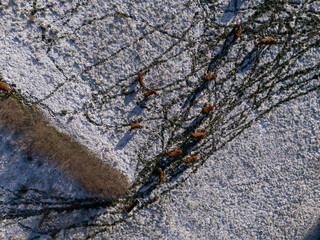Aerial of hills and forest countryside in the fog