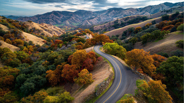 Scenic road covered in colorful leaves winding through the hills.