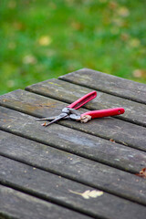 Garden scissors with red handles on a wooden table. Garden hand pruners. Garden shears. Sharp...