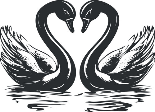 Elegant black and white vector illustration of two swans forming a heart shape, ideal for romantic themes and nature designs