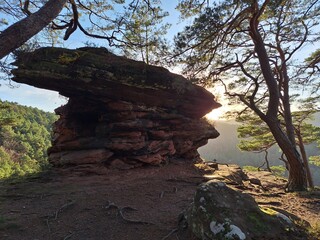 Kahler Fels bei Hauenstein im Pfälzerwald