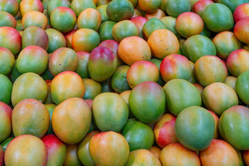 fresh mango in pile in the harvest season