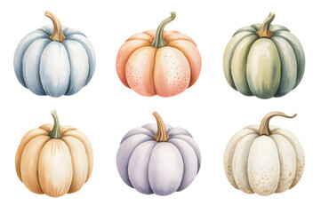 Pastel halloween pumpkins in soft watercolor on white background. Autumn pastel pumpkin collection  botanical detail.