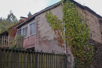 Deserted home overtaken by growing nature