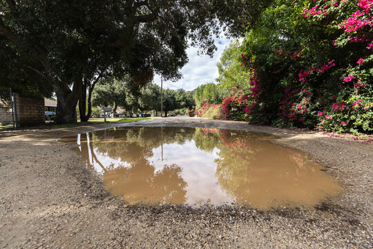 Mud puddle on rural dirt road in suburban Chatsworth California.