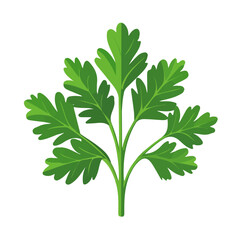 Parsley Leaf in a clean 2D flat vector icon style, minimal and simple, set on a plain white background.