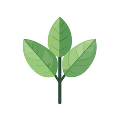 2D flat vector illustration of Mint, clean and minimal icon style, isolated on white background.