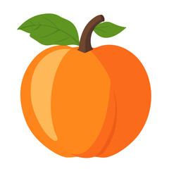 2D flat vector illustration of Persimmon, designed in a clean icon style and isolated on a white background.