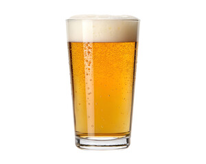 Tall glass of golden beer with frothy white head isolated on transparent background