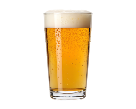 Tall glass of golden beer with frothy white head isolated on transparent background