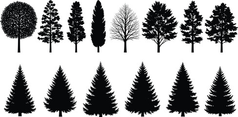 Fototapeta premium Tree silhouette, conifer shape, deciduous tree, forest icon, botanical graphic, nature symbol, black vector, foliage design, flat vector illustration