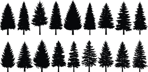Fototapeta premium Conifer tree, evergreen silhouette, forest icon, pine shape, botanical graphic, nature symbol, black vector, foliage design, flat vector illustration