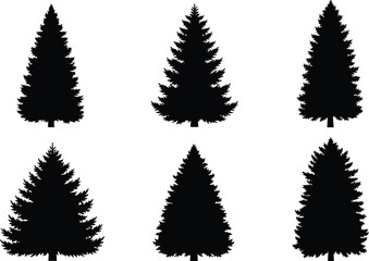 Obraz premium Conifer tree, pine silhouette, evergreen forest, nature icon, black vector, botanical shape, winter tree, outdoor symbol, flat vector illustration